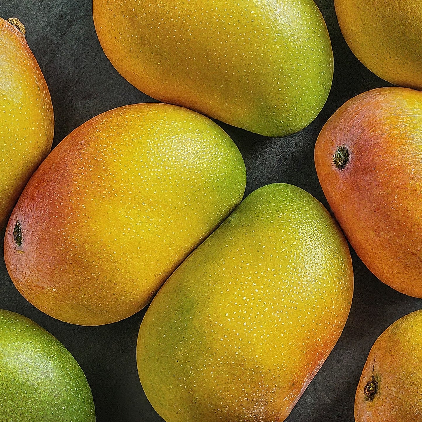 Multani DUSEHRI Mango