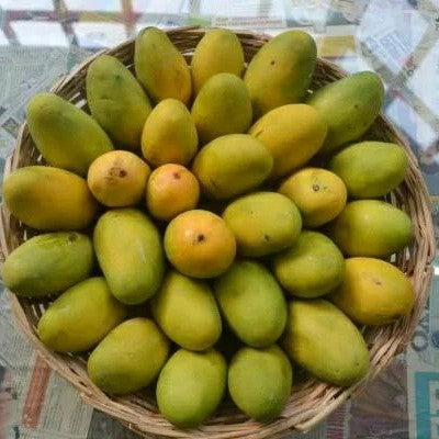 Multani DUSEHRI Mango