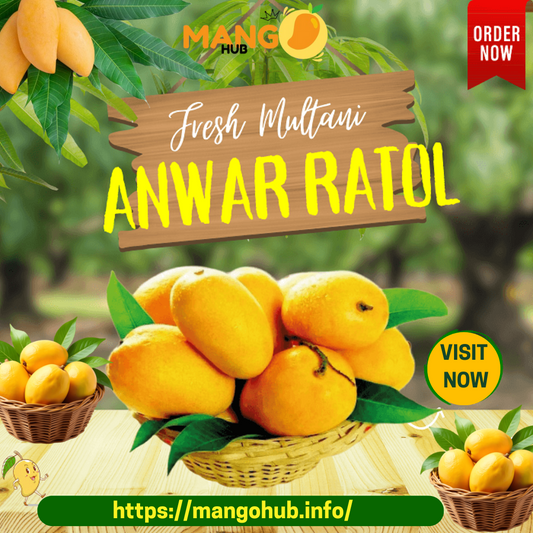 Anwar Ratol Mango