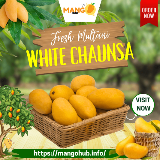 White Chaunsa Mango