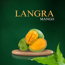 Premium Langda Mangoes